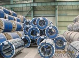 Prepainted Galvanized Steel Coils for Building Materials