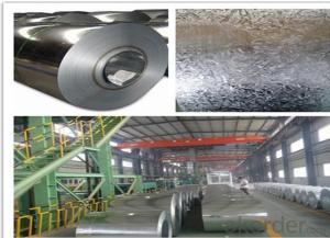 PPGI Prepainted Galvanized Steel Coils for Building Materials