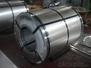 Galvanized Steel Sheet in Ciols with Prime Quality