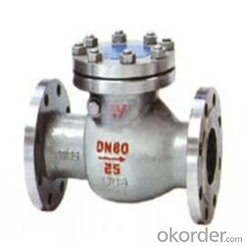 API Cast Steel Check Valve   250 mm in Accordance with ISO17292、API 608、BS 5351、GB/T 12237