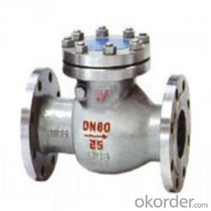 API Cast Steel Check Valve   250 mm in Accordance with ISO17292、API 608、BS 5351、GB/T 12237 System 1