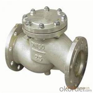 API Cast Steel Check Valve  65 mm  in Accordance with ISO17292、API 608、BS 5351、GB/T 12237