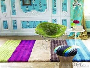 Shaggy Carpet Bath Floor Area Rug Washable System 1