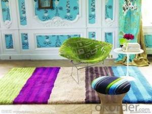 Shaggy Carpet Bath Floor Area Rug Washable