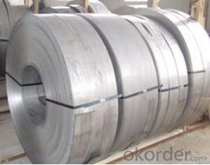 Galvanized Steel Coils/ Strips Hot Sales System 1