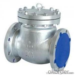 API Cast Steel Check Valve  700 mm  in Accordance with ISO17292、API 608、BS 5351、GB/T 12237