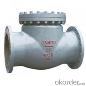 API Cast Steel Check Valve  600 mm  in Accordance with ISO17292、API 608、BS 5351、GB/T 12237