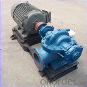Centrifugal Double Suction Water Pump for Irrigation System 1