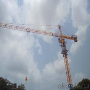 Tower Crane TC5013A Construction Machinery Crane Distributor Crane Manufacturer