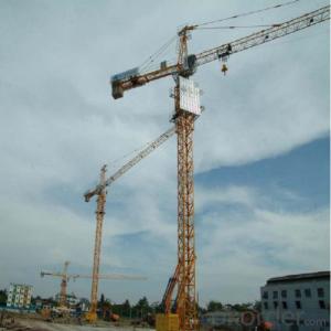 Tower Crane TC6014 Construction Machinery For Sale Crane Manufacture Distributor