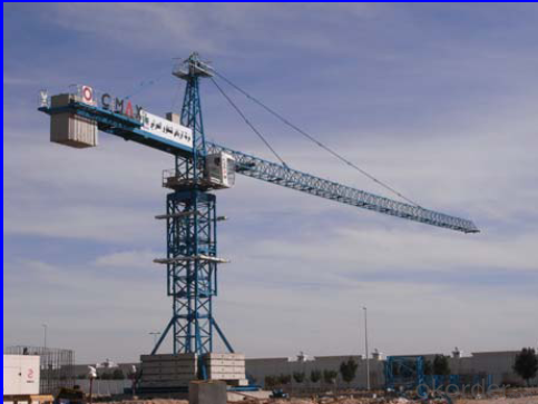Tower Crane TC7021 Construction Machinery For Sale Crane Distributor Accessory