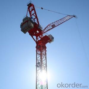 Tower Crane TCD5032 with Competitive Price System 1