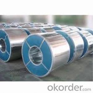 Printed Prepainted Galvanized Steel Coils for Refrigerator