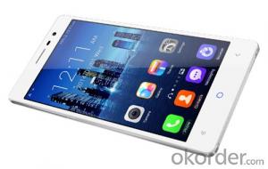 MTK6592 Smartphone HD 1280*720  Multi Function Long Warranty