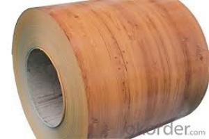 Color Steel Rolled/Printed Color Coated Sheet /Rough and Glossy Wood Grain Steel Coils System 1