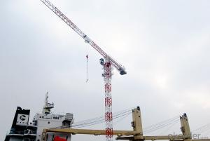 PT60 topless tower crane with competitive price System 1