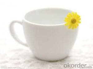 CUPS WITH LOWEST PRICE AND BEST QUALITY