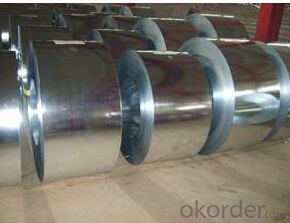 Hot Dipped Galvanized Steel Coil for Buildings