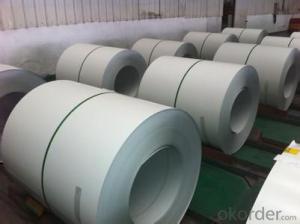 Pre Painted Galvanized/Aluzinc Steel Coils of Best Quality White Color System 1