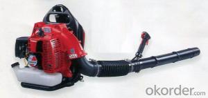 Brush Cutter With 5 Stroke Engine Primer Bulb CE GS NTC520 and NTD520