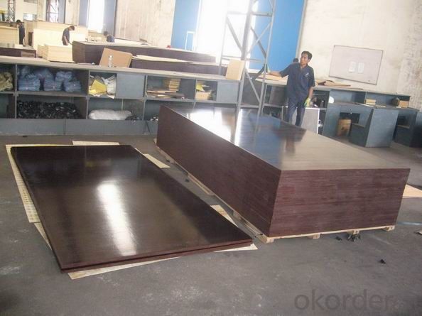Shandong Film Faced Plywood Marine Plywood Construction Plywood