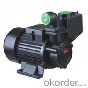 WZB-S Stainless Steel Vortical Self-priming Booster Pump