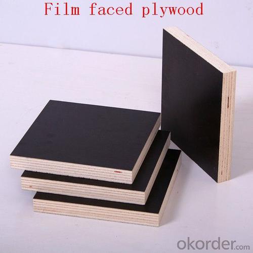 marinplex film faced plywood / marinplex plywood with high quality System 1