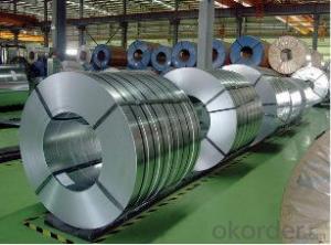 Hot-Dip Galvanized Strips and Coils from China System 1