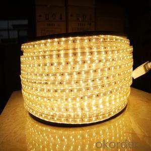 Led Strip Light New style 12w led power , 24v 12w waterproof led power supply System 1