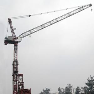 Luffing Tower Crane Qualified China Supplier System 1