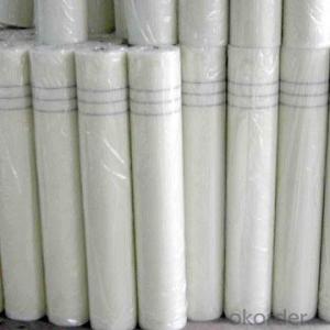 Fiberglass Mesh With High Quality Good Price 160G 5*5/inch System 1