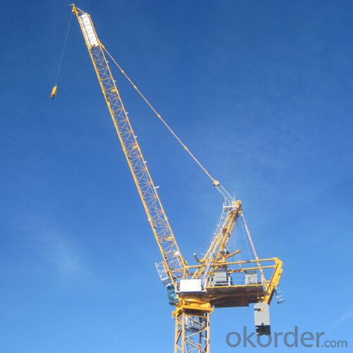 Luffing Tower Crane China Famous Manufacturer