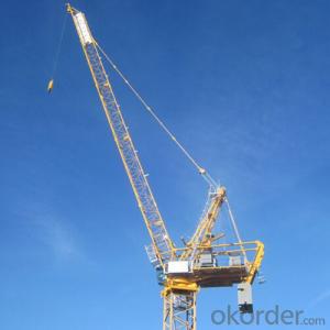 Luffing Tower Crane China Famous Manufacturer System 1
