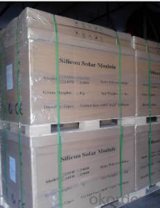 Mono Solar Modules 300W