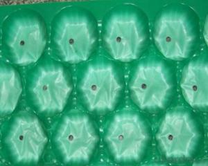 Plastic Stackable Fruit Tray Packing for sales