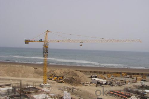 TC6502 tower crane/ tower crane with CE ISO certificate System 1