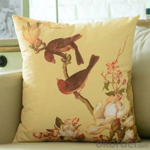 Decorative Home Cushion for Sofa or Outdoor Furniture