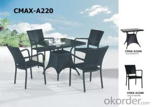 Garden Sets Dinning Set for Outdoor Furniture CMAX-A220 System 1