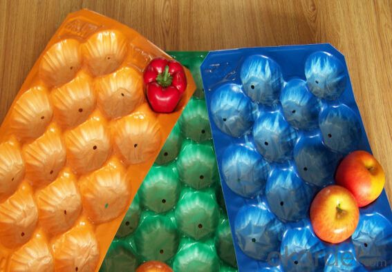 PP Fresh Fruit Tray Packing for Apple/Orange