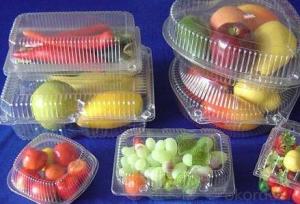 PP Plastic Fresh Fruit Packaging Tray Insert