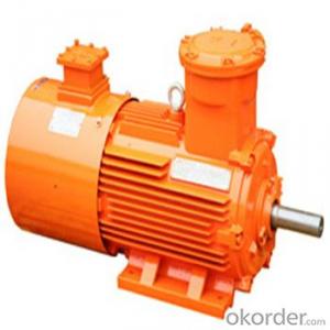 YVF Series Inverter Duty Motors In the China