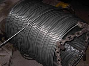 Hot Rolled Steel Wire Rod with Good Quality with The Size 12mm
