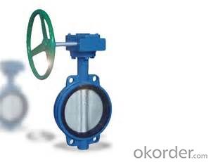 Butterfly Valve DN750 BS5163 with Hand Wheel