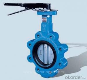 Butterfly Valve DN200 Turbine Type Best Quality System 1