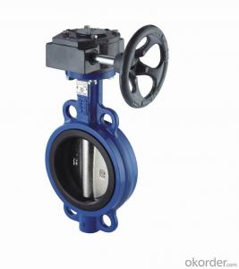 Butterfly Valve DN300 Turbine Type BS 4531 Made in China