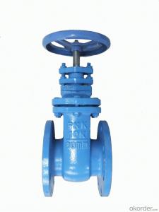 Valve BS5163 Made in China  Resilient Ductile Iron System 1