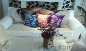 Cushion Pillow for Bedroom and Living Room Decoration