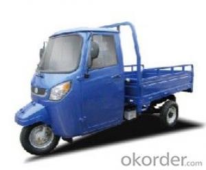 Three-wheel motor 1F11101(200CC) large loading and good price System 1