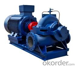 Agricultural Irrigation Double Suction water pump System 1