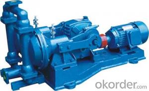 Electric Double Diaphragm Pump with High Quality